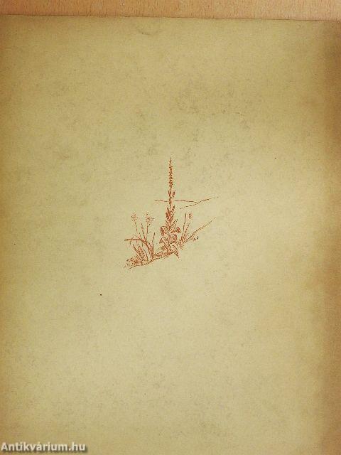 Das erlebnis einer Landschaft