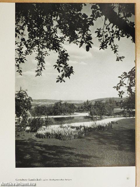 Das erlebnis einer Landschaft