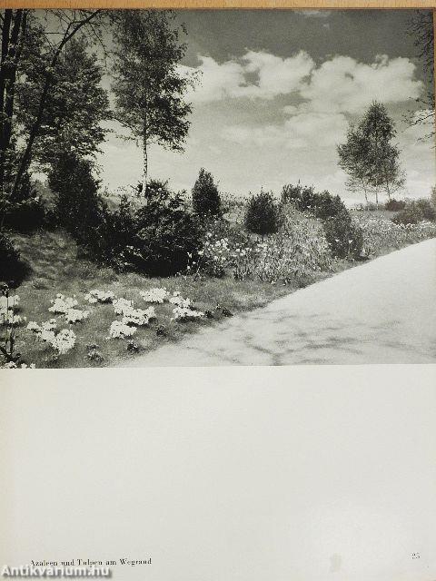 Das erlebnis einer Landschaft