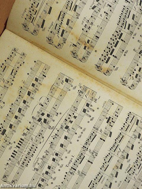 Der fliegende Holländer