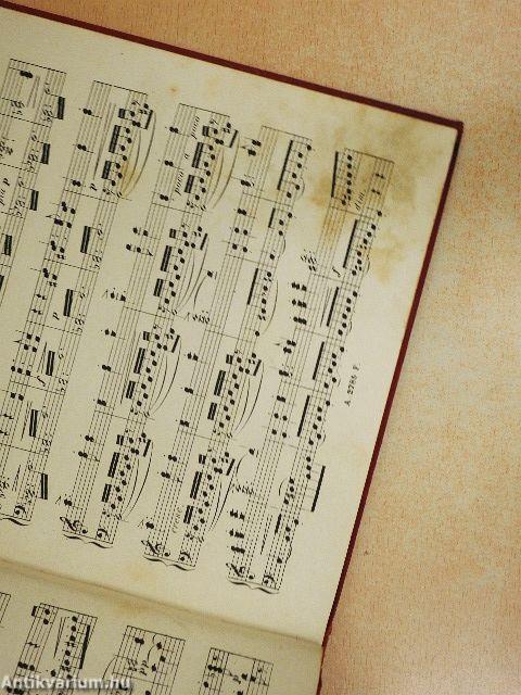 Der fliegende Holländer