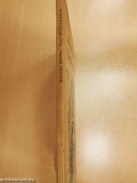 Das Marienleben (gótbetűs)