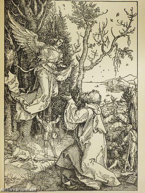 Das Marienleben (gótbetűs)