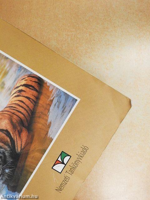 Távoli tájak élővilága/Az élőlények rendszere