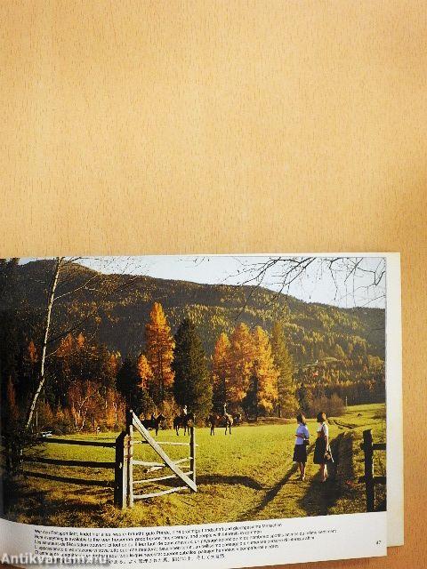 Souvenir aus Innsbruck