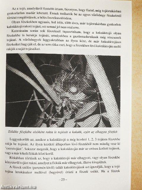 Kakukk-megfigyelések a Zagyva forrásvidékén