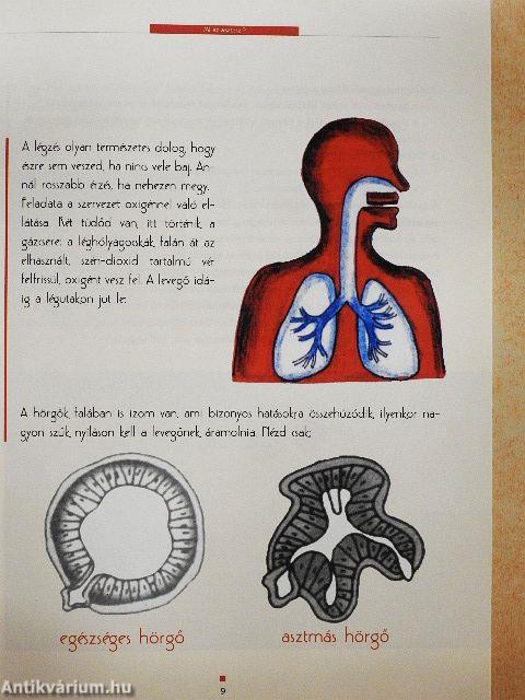 10 kérdés az asztmáról szülőknek és gyermekeiknek