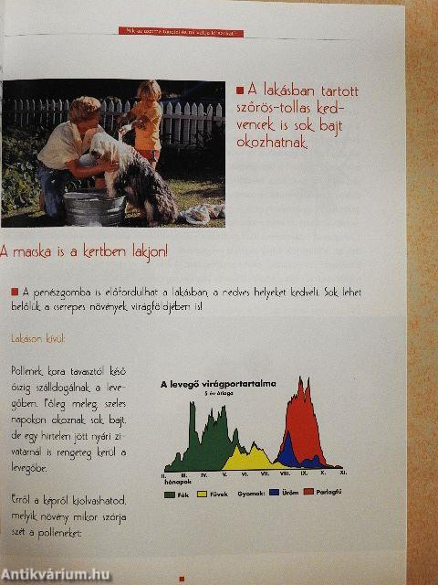 10 kérdés az asztmáról szülőknek és gyermekeiknek