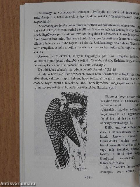 Kakukk-megfigyelések a Zagyva forrásvidékén