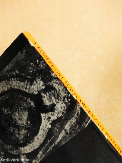 A középkori Magyarország rotundái