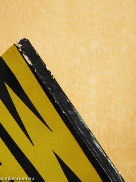 Ford Madox Ford írói világképe