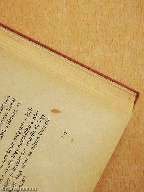 Koldus és királyfi