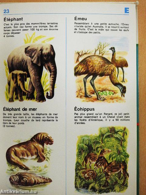 Mon Dictionnaire des Animaux