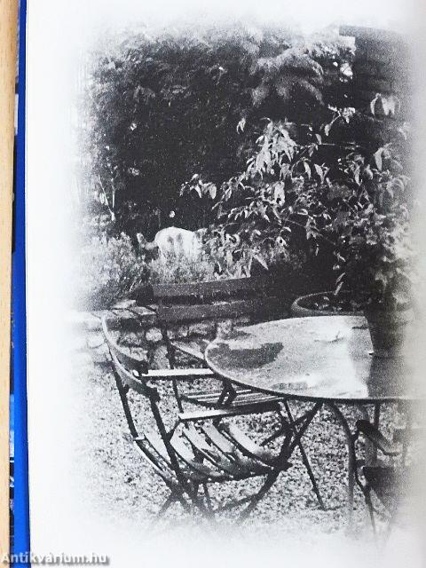 Életünk a Tatin utcában