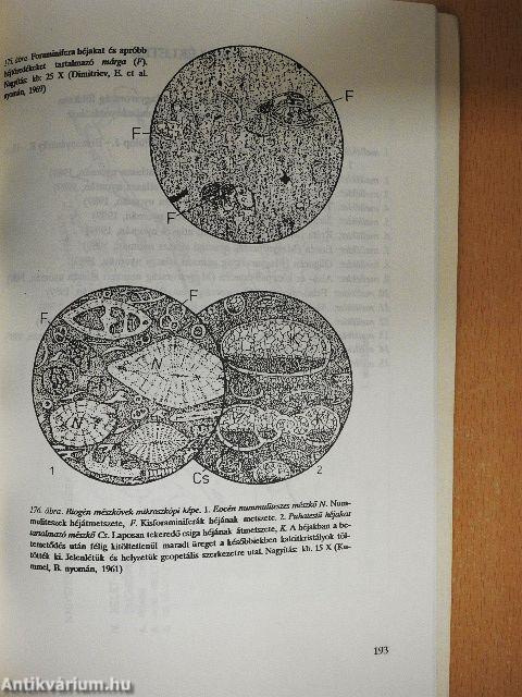 A Föld és az élet fejlődése