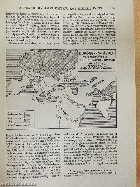 A világtörténet alapvonalai