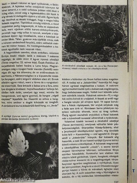 Urania Állatvilág - Madarak