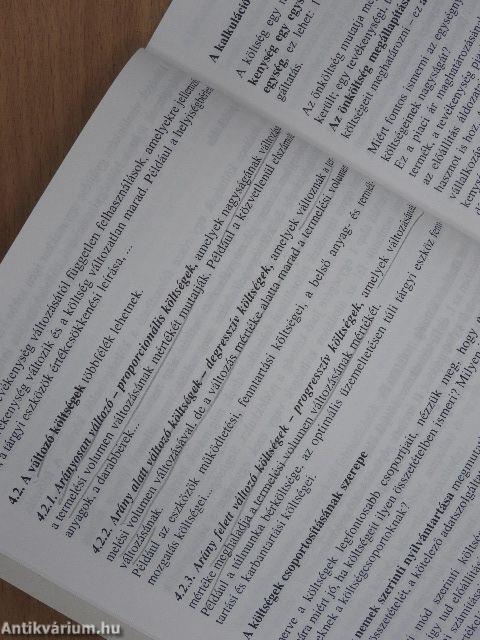 Üzleti gazdaságtan II. 