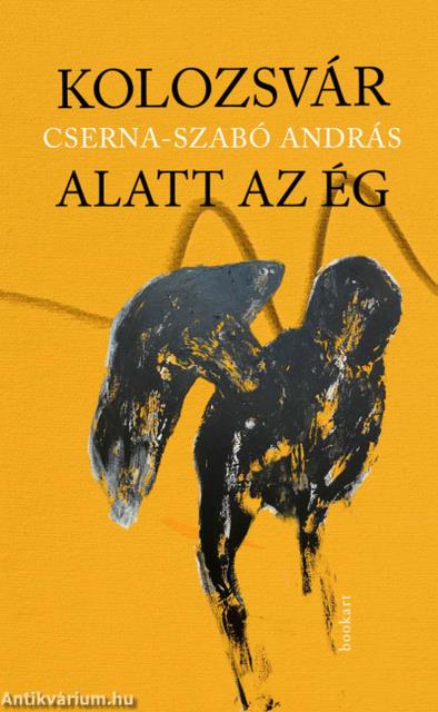 Kolozsvár alatt az ég