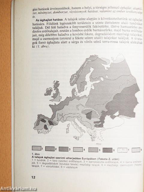 Talajjavítás és komposztálás a házikertben