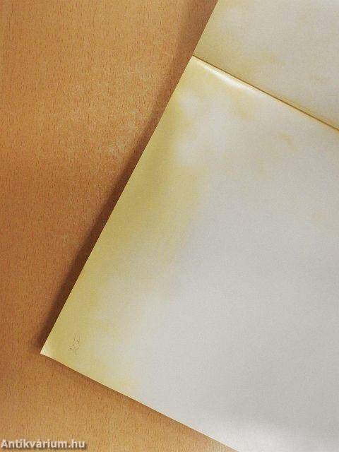 Boris Vallejo fantasztikus világa