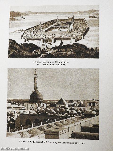 Primitív és kultúrvallások, iszlám és buddhizmus