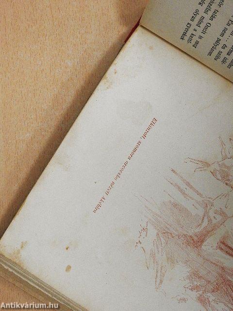 Évike följegyzései III.