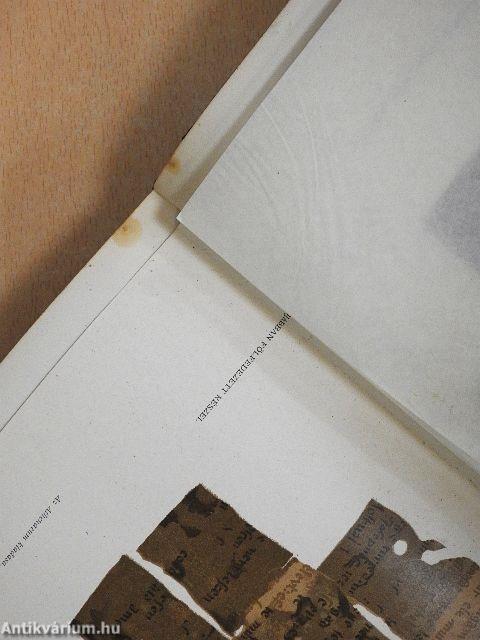 A régi magyar irodalom története