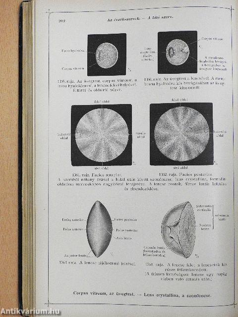 Toldt - A tetembontás atlasza VI.