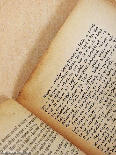 Három gyerek meg egy csacsi