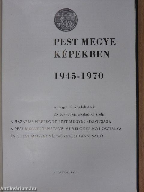 Pest megye képekben (aláírt példány)