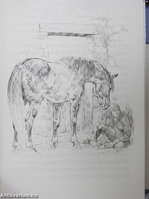 Amíg világ a világ