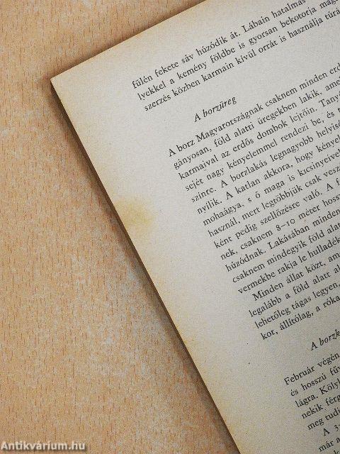 Vízben, földön, levegőben