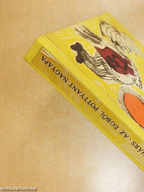 Az égből pottyant nagyapa