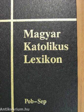 Magyar Katolikus Lexikon XI. (töredék)