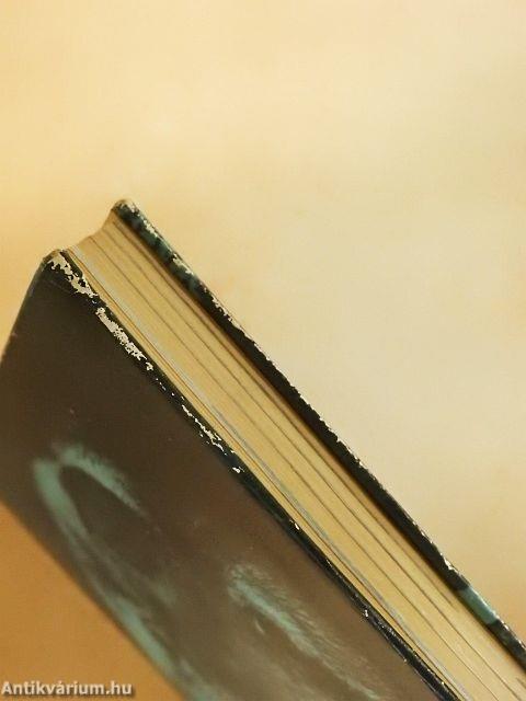 Csillogó vízgyűrűk