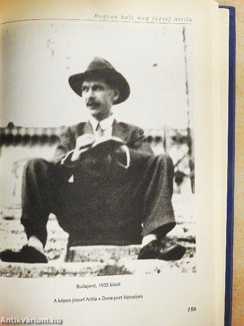 Hogyan halt meg József Attila?