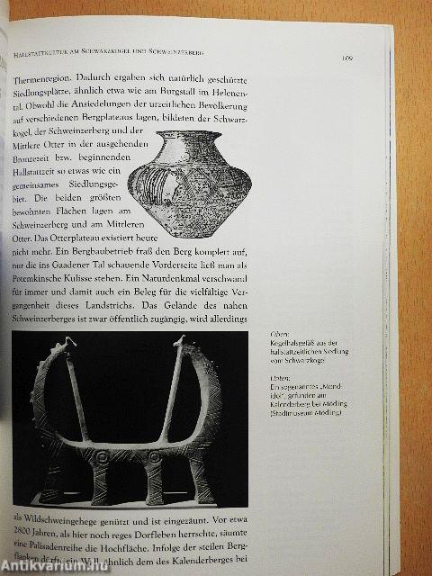 Geheimnisvoller Wienerwald