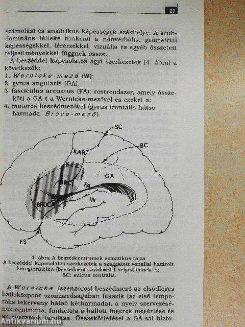 Gyakorlati neurológia