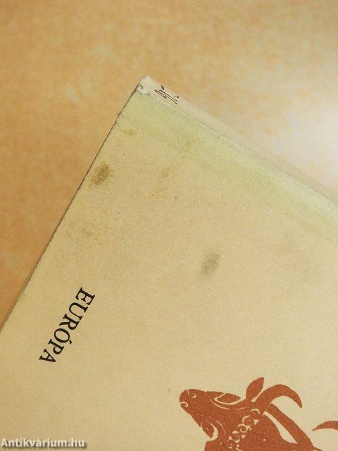 A könyvtár lángban áll