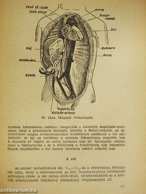 Csecsemőgondozónők és gyermekápolónők tankönyve I.