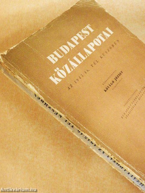 Budapest közállapotai