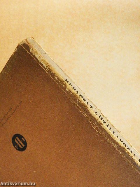 Budapest közállapotai