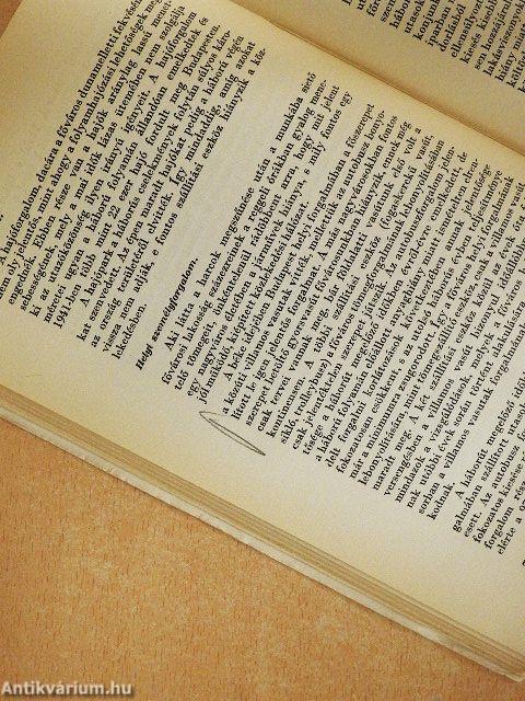 Budapest közállapotai