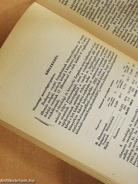 Budapest közállapotai