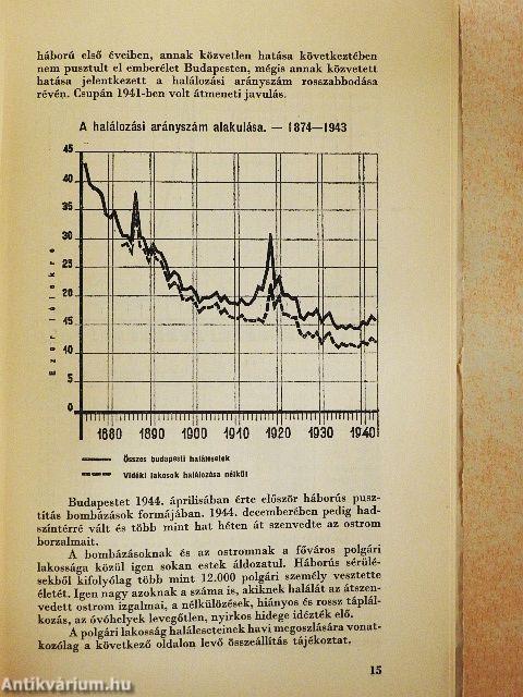 Budapest közállapotai