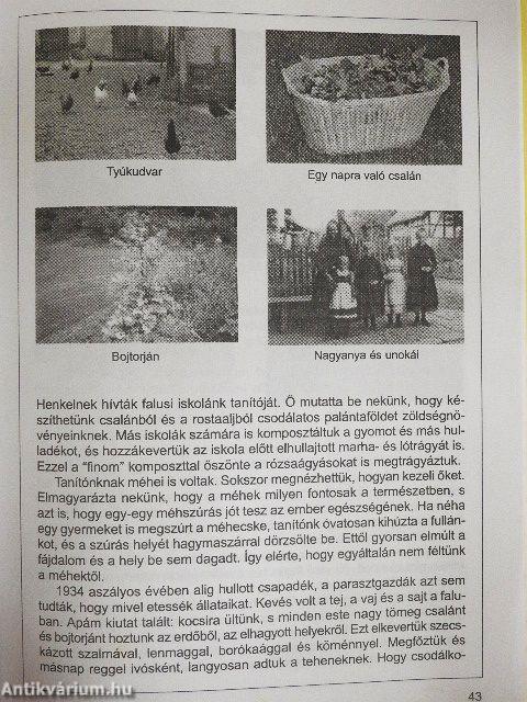 Vetési naptár 1998