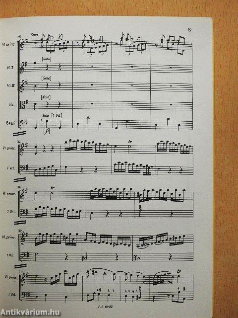 Concerto G major for Violin and String Orchestra