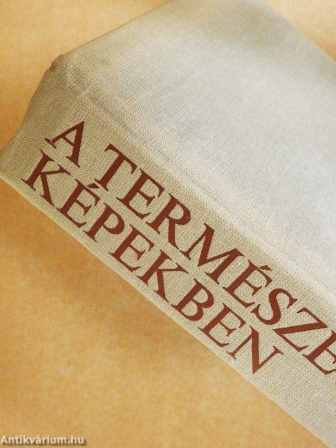 A természet képekben