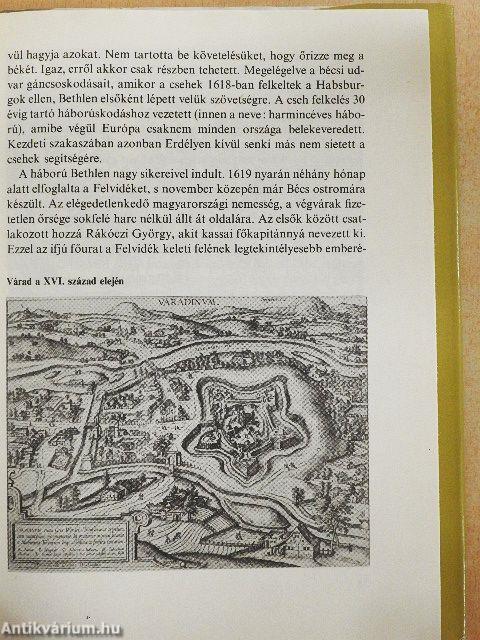 A "Tündérkert" romlása